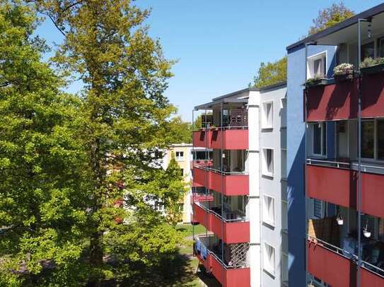 Bad Salzdetfurth- Schicke 3-Zimmer Wohnung im Grünen!