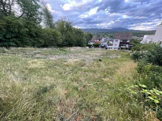 520 m2 - Traumhafte Hanglage in Fischbach – Ihr Grundstück am Wald