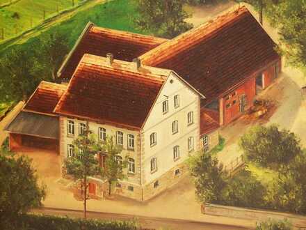 Erwecken Sie diesen Resthof zu neuen Leben!
