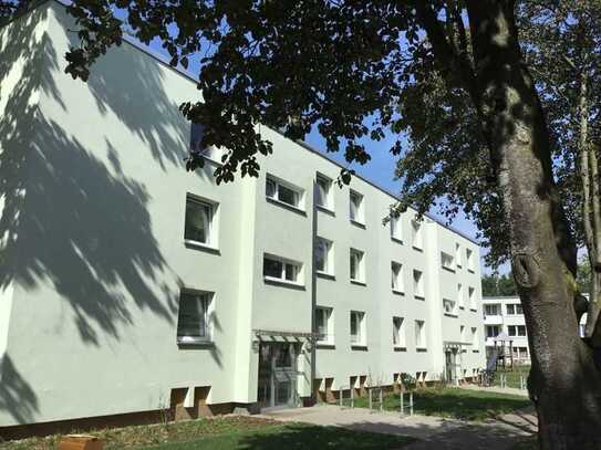 Hier möchte ich wohnen - 3-Zimmer-Wohnung mit Balkon