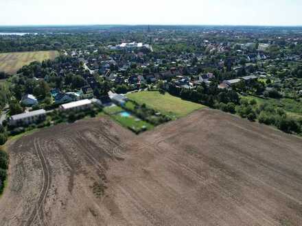 Geben Sie Ihren Träumen Raum / 25.000 m² Grundstück im Hahnstückenweg, Bitterfeld!