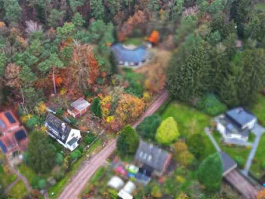 Gegen Gebot: Waldgrundstück im Hamburger Speckgürtel