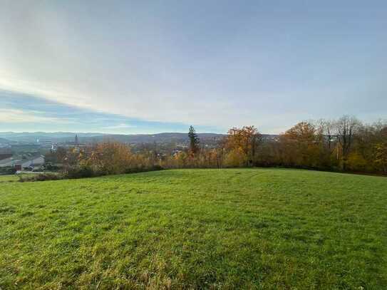 Baugrundstücke in schöner Waldrandlage mit Blick auf Neheim und ins Ruhrtal