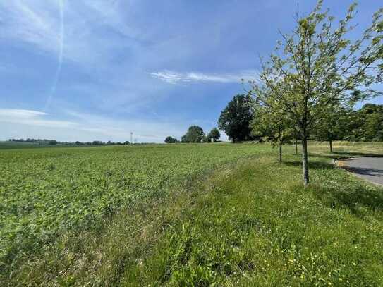 Der Freiraum-Klassiker als Stadtvilla auf ca. 700m² Grundstück mit freiem Blick auf die Felder