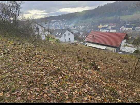 **Grundstück in Hanglage mit Fernsicht für Ihr neues Eigenheim in Sulz am Eck**