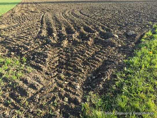 2,3 ha ( 23000 m² ) große Ackerfläche in Moosfürth - ca. 2 km von Wallersdorf *****