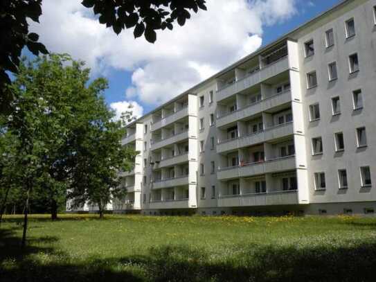 Frisch sanierte 2 Raum-Wohnung mit Balkon