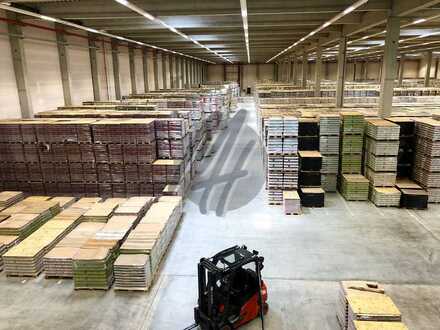 RAMPE + EBEN ✓ 24/7-Nutzung ✓ Lager-/Logistik (13.000 m²) & Büro (6.000 m²) zu vermieten
