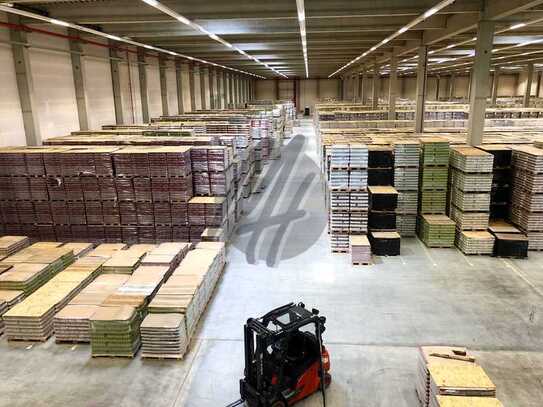 RAMPE + EBEN ✓ 24/7-Nutzung ✓ Lager-/Logistik (13.000 m²) & Büro (6.000 m²) zu vermieten