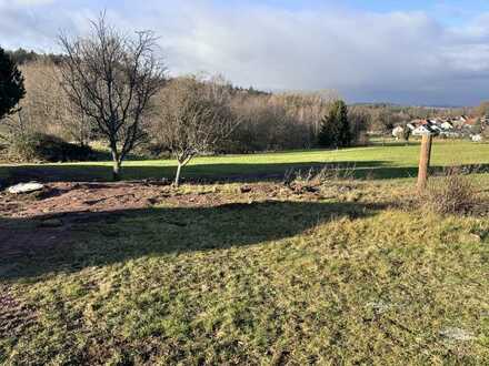 Schönes Baugrundstück mit Aussicht in die Natur