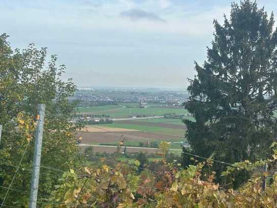 MFH - TOP-Lage in Gerlingen - Grundstück mit Rohbaufertigstellung