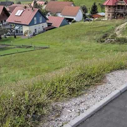 Traumhaftes Baugrundstück in Seebach