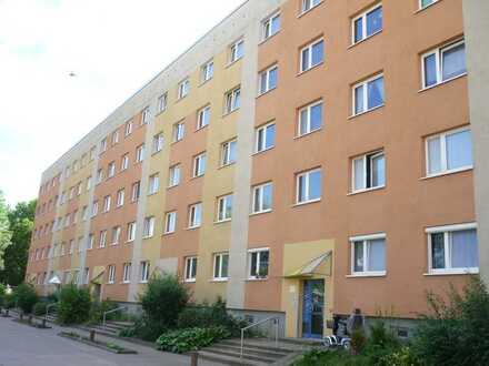 Modernisierte 3-Raum-Wohnung mit Dusche