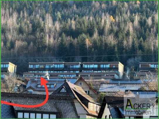 Ferienwohnung im Schwarzwald, Baiersbronn mit herrlichem Ausblick