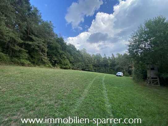 Landwirtschaftsfläche in Döllnitz bei Pressath