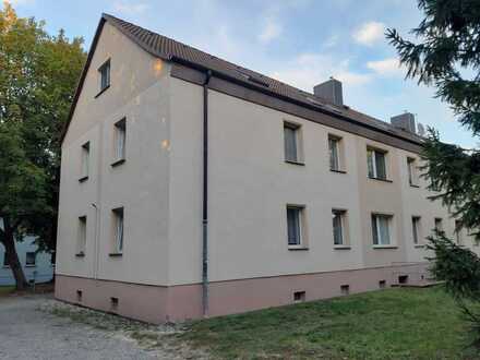 3 Raumwohnung in der Nähe zum Geiseltalsee