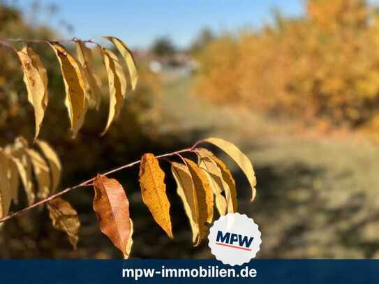 Wow - Riesiges Grundstück in Zeesen: Natur, Idylle und Berlin-Nähe