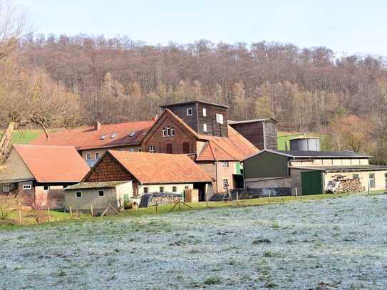 Hofstelle mit allen denkbaren Ausrichtungen (6ha Land opt./Pferde/Café/Mehrgenerationenprojekt u.v.m