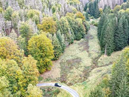 0,8 ha Landwirtschaftsfläche im Thüringer Wald