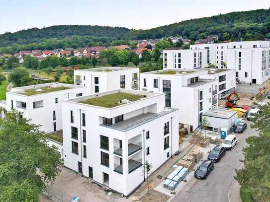 Letzte Wohnung im Haus B!