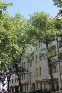 Herrschaftliche Jugendstilwohnung mit Terrasse & kleinem Garten zw. Ludwigkirchplatz/Olivaer Platz