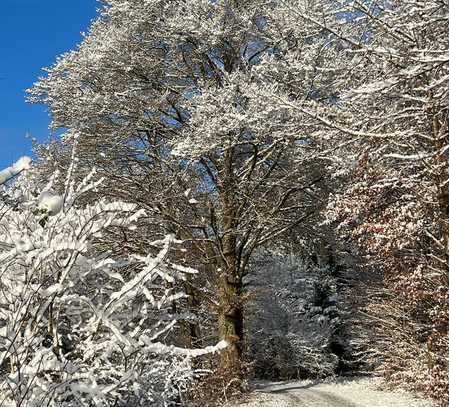 A+ WINTER-WUNDER-HAUS! Private DHH in ruhiger eingewachsener Lage