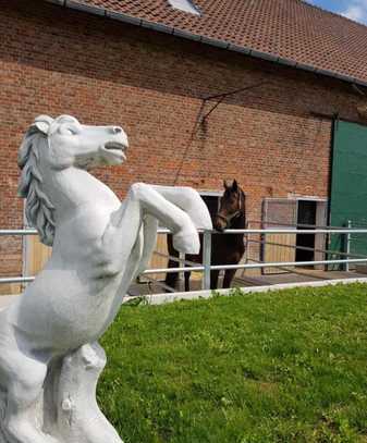 Reiterhof mit Reitplatz, Pferdeboxen, Häusern uvm!