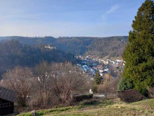 Panoramawohnung mit herrlicher Aussicht auf Neuenbürg