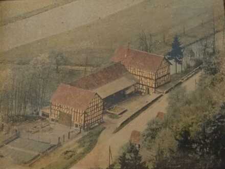 Historische Alte Mühle mit Scheune, Stallungen, Wiesengrundstück und großem Wohnhaus