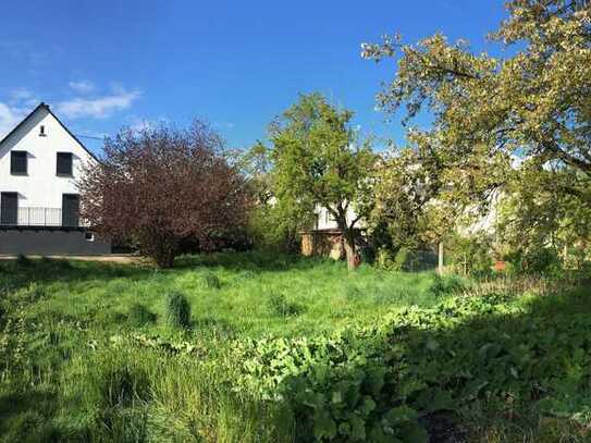 Butzbach: Modernes Einfamilienhaus in ruhiger Lage mit großem Grundstück und Blick ins Grüne