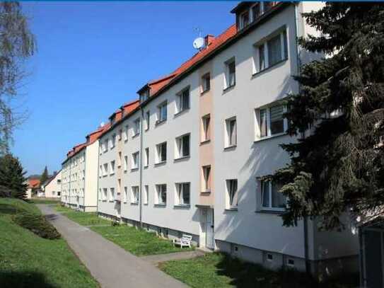 Attraktive und modernisierte 3-Zimmer-Wohnung in Waldheim