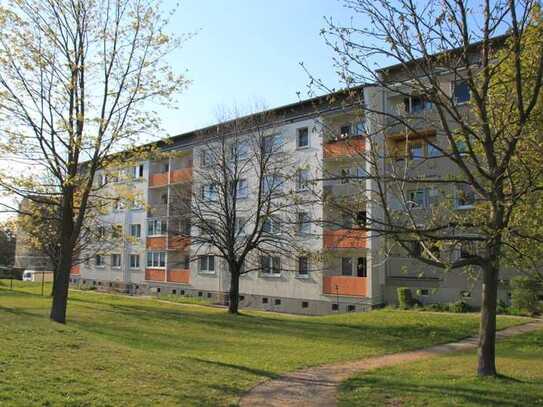 3 Raumwohnung im Hochpaterre mit Dusche