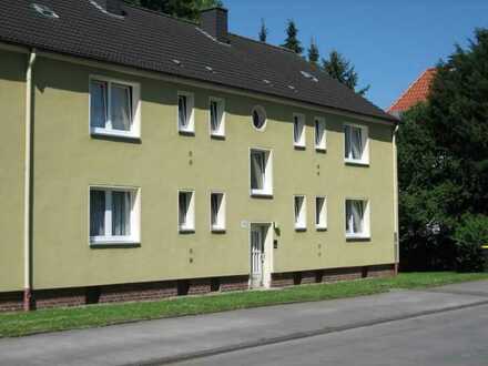 Single-Wohnung mit modernisiertem Duschbad in Do-Wambel
