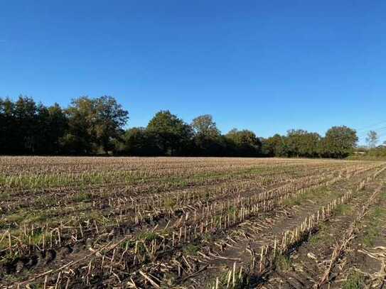 Landwirtschaftliche Flächen in Alveslohe!