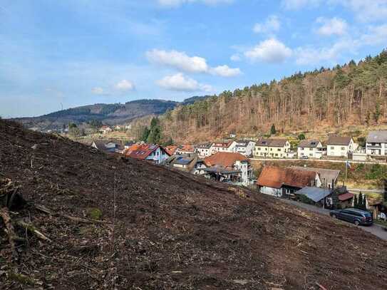 Hang-Grundstück in Altenbach mit Bauerlaubnis