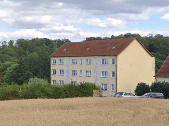 Helle 2 Raum Wohnung mit Balkon im EG Harzgerode (OT Schielo)