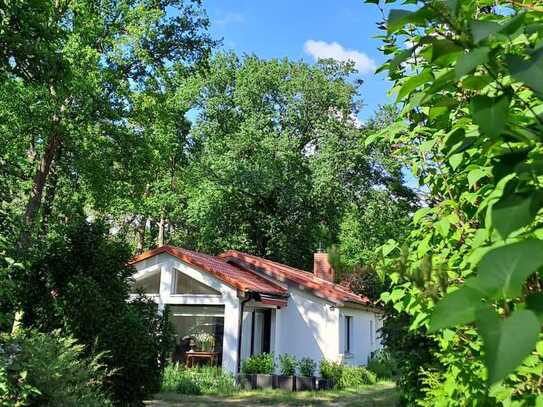 Vollständig renoviertes 3,5-Raum-Einfamilienhaus mit geh. Innenausstattung in Potsdam Stern