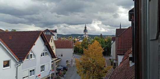 Ruhige 3,5-ZKB Wohnung in TOP-Lage Erbach/Innenstadt für Büro möglich