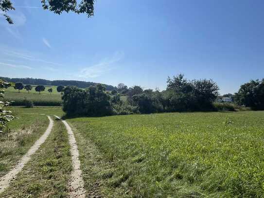 Landwirtschaftliche Fläche Nähe Weilenbach!