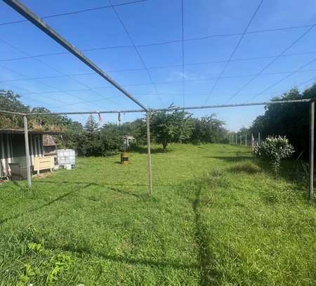 Schönes Grundstück Teilbar mit Hütte, Grillplatz uvm....!!