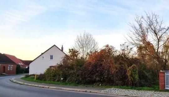 Börs Immobilien ++ Lückenbebauung in Altstrelitz