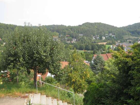 Sonnenberg, charmante 1 Zi-Whg mit großzügiger Terrasse