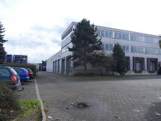 ca. 250 m² HALLE (ebenerdig mit 5 Toren) + ca. 500 m² BÜRO + 1.000 m² FREIFLÄCHE ZU VERMIETEN