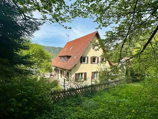 Burgblick - castle view - großzügiges Schwarzwaldhaus in Bad Liebenzell