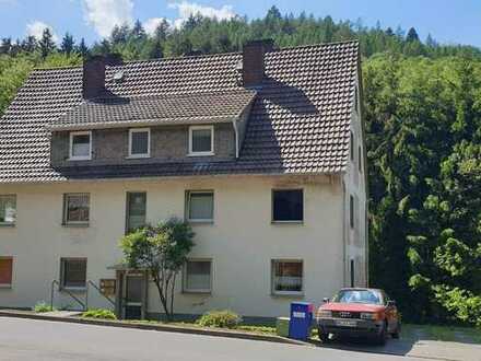 2022 sanierte: attraktive 3-Zimmer-Wohnung in Schutzbach