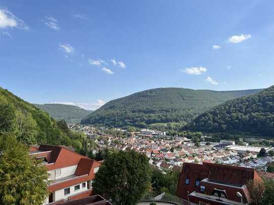 2,5 Zimmer Wohnung mit herrlicher Aussicht