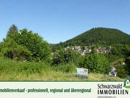 Grundstück inkl. genehmigter Planung oder zur individuellen Bebauung in 72275 Alpirsbach