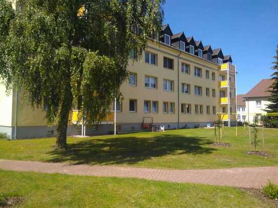 NEU....renovierte 4-Raum-Wohnung, mit Balkon im Erdgeschoss, in Eggesin zu vermieten