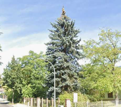 Baugrundstück für DHH in der Blütenstadt