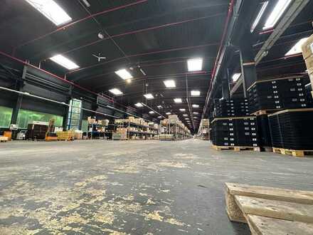 Lager- /Produktionshalle ca. 5.000 m², teilbar ab 2.500 m², in 32863 Barntrup ab 1.6.24 zu vermieten